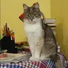 Отзыв от Катя Карташова